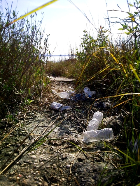 A park nature trail 