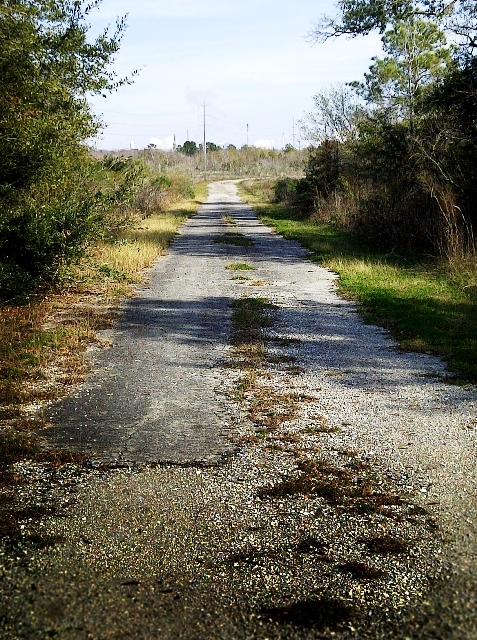 A "nature trail" that's actually an abandoned Brownwood neighborhood street named MacArthur St.