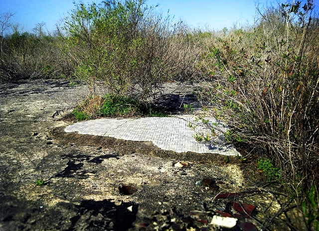 Site of what's left of a Brownwood home. In this picture, you can see bathroom tiles.