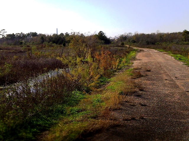 Another "nature trail" that's actually an abandoned Brownwood neighborhood street named Crow Rd.