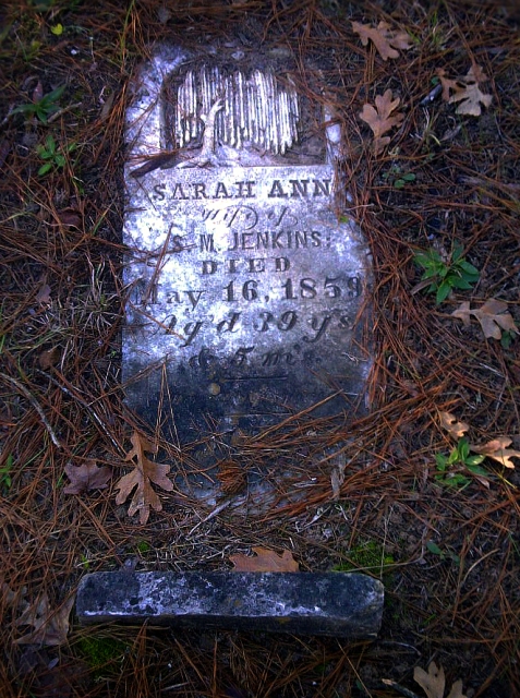 Sarah Ann Jenkins, d May 16, 1859