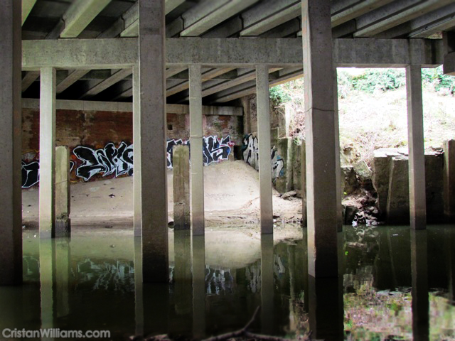 Donnellan Tomb from across Buffalo Bayou, #1