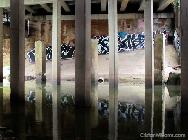 Donnellan Tomb from across Buffalo Bayou, #2