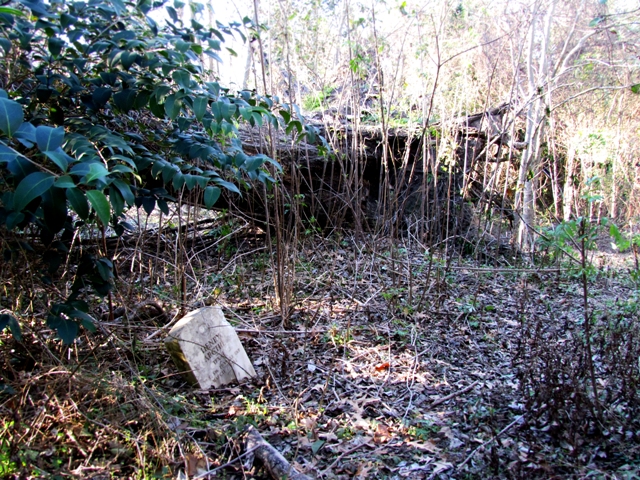 Lone headstone in the woods