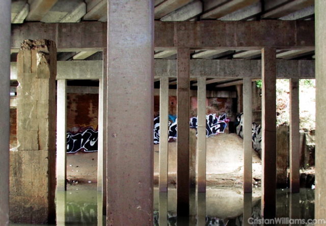 Donnellan Tomb from across Buffalo Bayou, #3