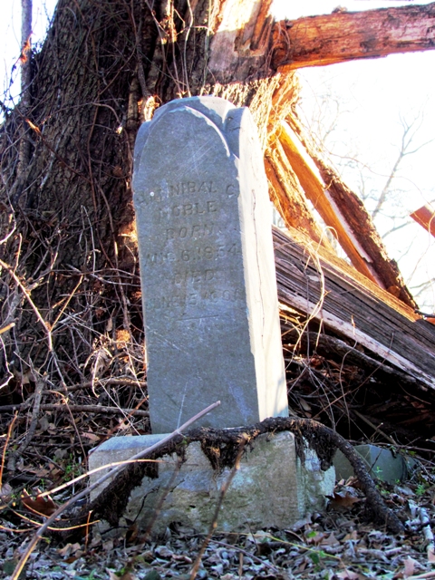 Lone headstone in the woods
