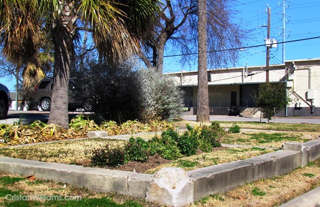 Super family plot in front of the Jefferson Davis Hospital