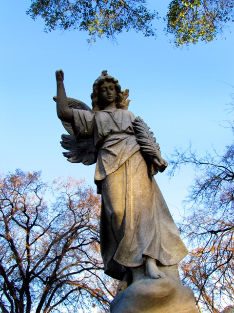 Another graveyard angel