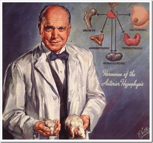 Dr.HerbertM.Evans