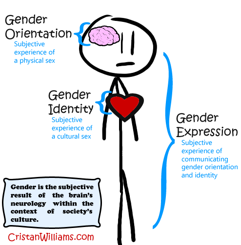 gender-orientation