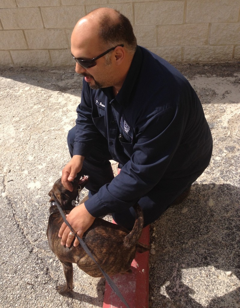 2/23/13: I got a surprise visit from my brother. He got to meet my dog, Gypsy. 